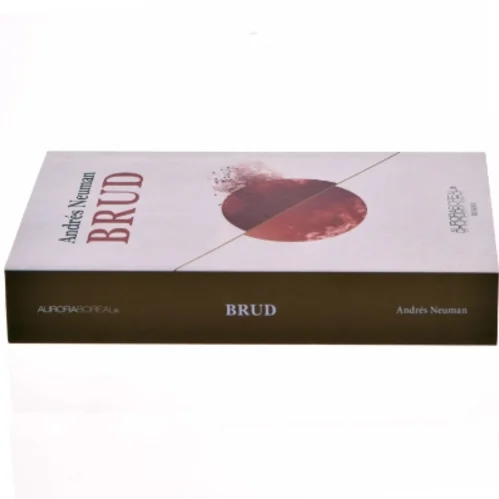 Brud af Andrés Neuman (Bog)