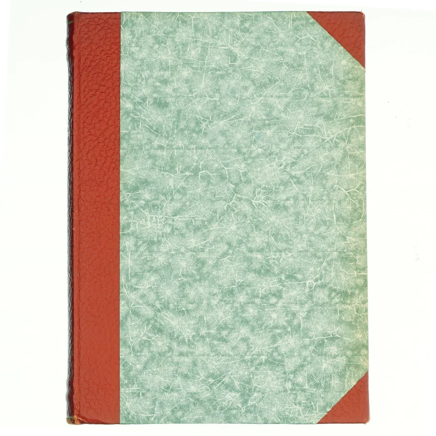 Rytteren af HC Branner (Bog)