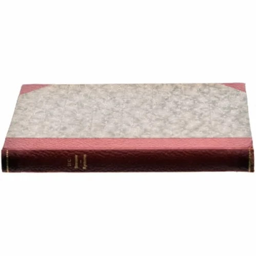 Rytteren af HC Branner (Bog)