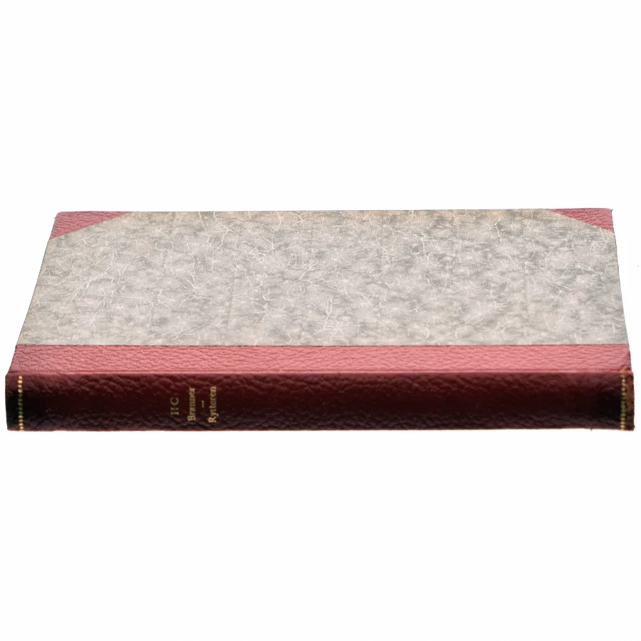 Rytteren af HC Branner (Bog)