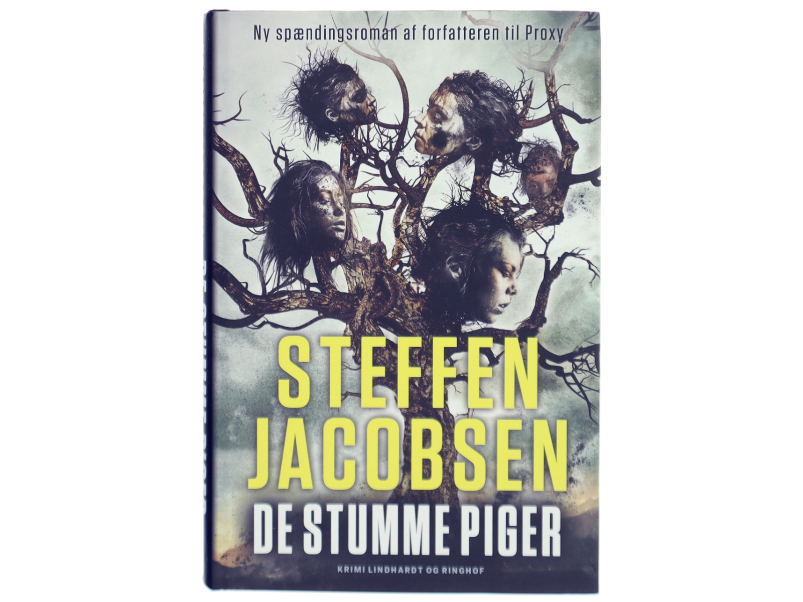 De stumme piger af Steffen Jacobsen (f. 1956) (Bog)