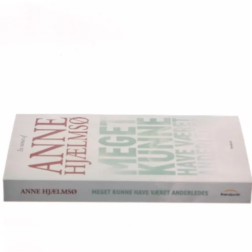 Meget kunne have været anderledes af Anne Hjælmsø (Bog)