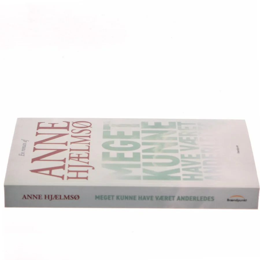 Meget kunne have været anderledes af Anne Hjælmsø (Bog)