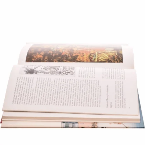 Tove Clemmensen og Mogens B. Mackeprang: Kina og Danmark 1600-1950.