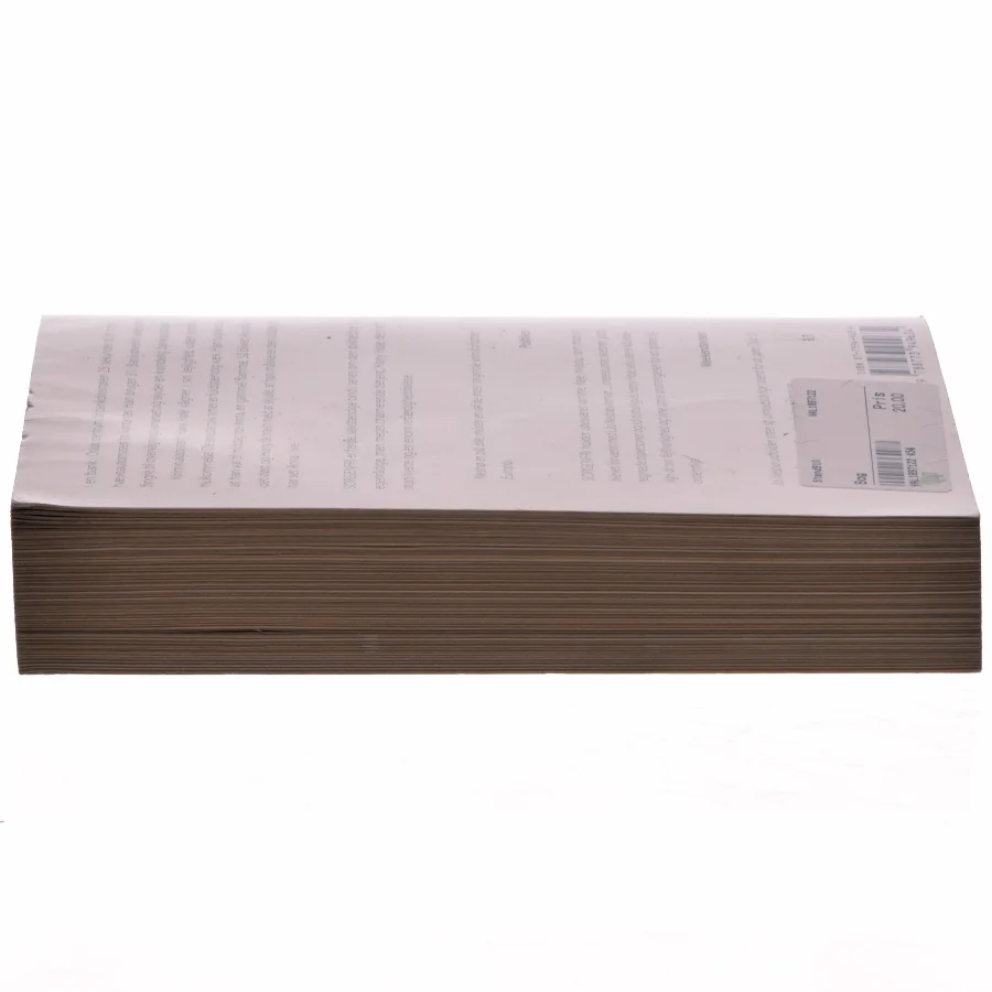 Sorgenfri af Jo Nesbø (Bog)