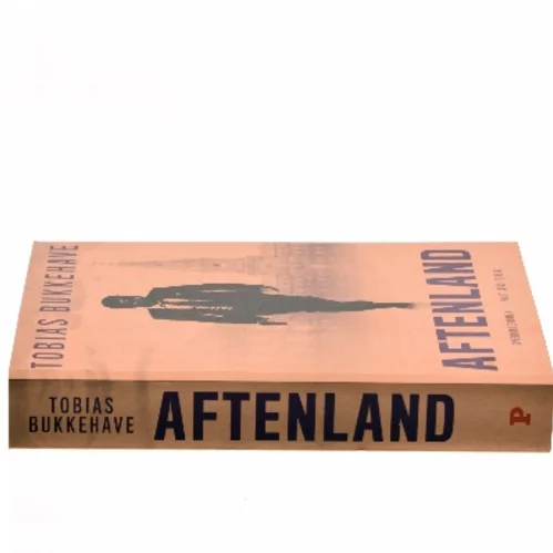Aftenland : spændingsroman af Tobias Bukkehave (f. 1980) (Bog)