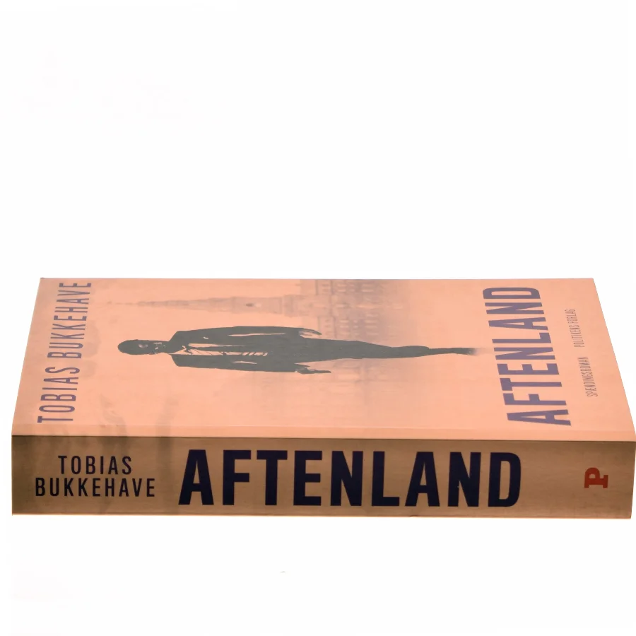 Aftenland : spændingsroman af Tobias Bukkehave (f. 1980) (Bog)