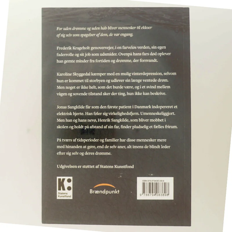 Det gyldne lommeur : kollektivroman af Mathias Ravnholt (f. 1995) (Bog)