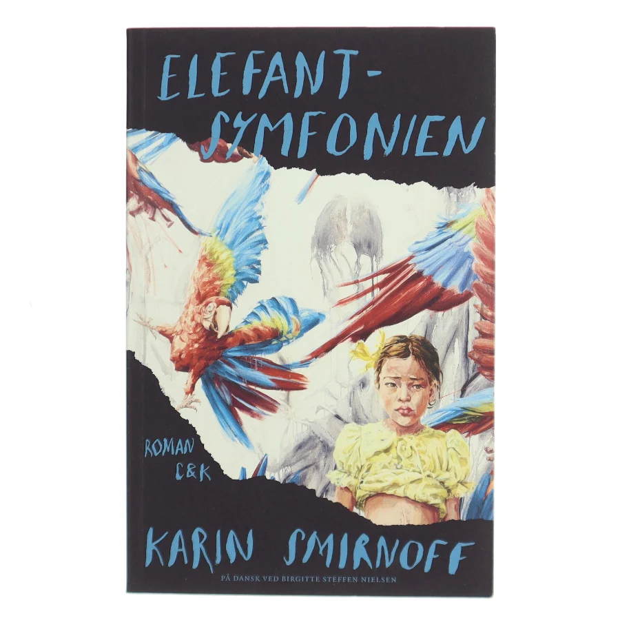 Elefantsymfonien : roman af Karin Smirnoff (f. 1964) (Bog)