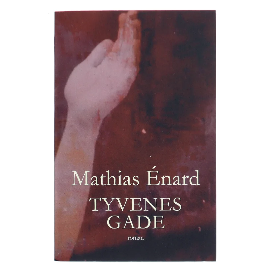 Tyvenes gade : roman af Mathias Énard (f. 1972) (Bog)