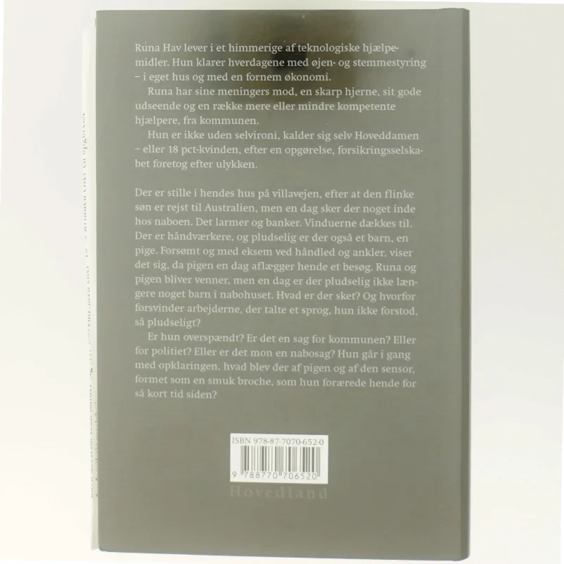 Hoveddamens nabohjælp : en hverdagsskrimi af Iben Danielsen (f. 1956) (Bog)