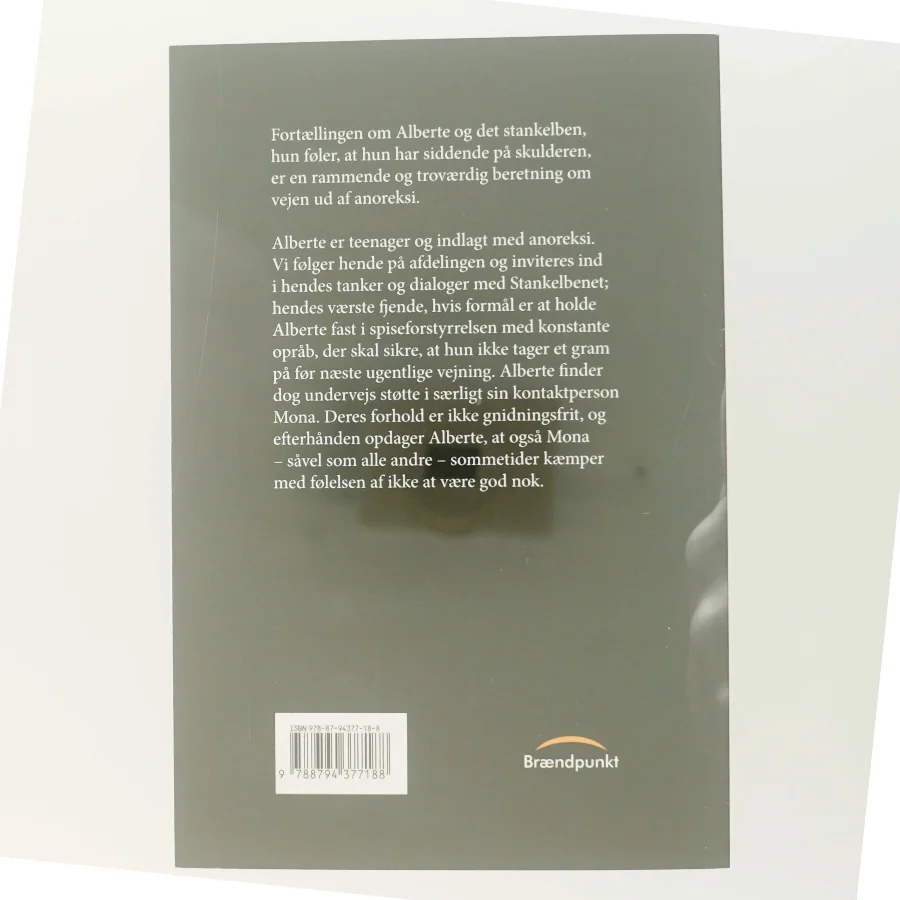 Stankelbenet : roman af Henriette Kinch (Bog)