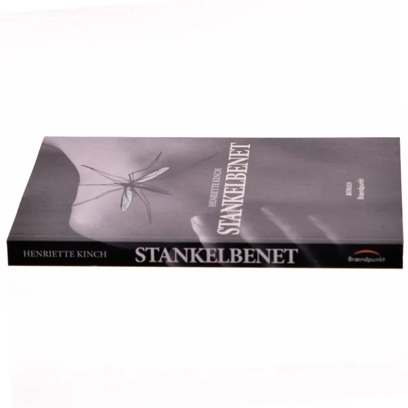 Stankelbenet : roman af Henriette Kinch (Bog)