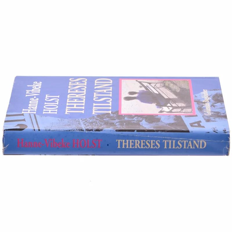 Thereses Tilstand af Hanne-Vibeke Holst (bog)