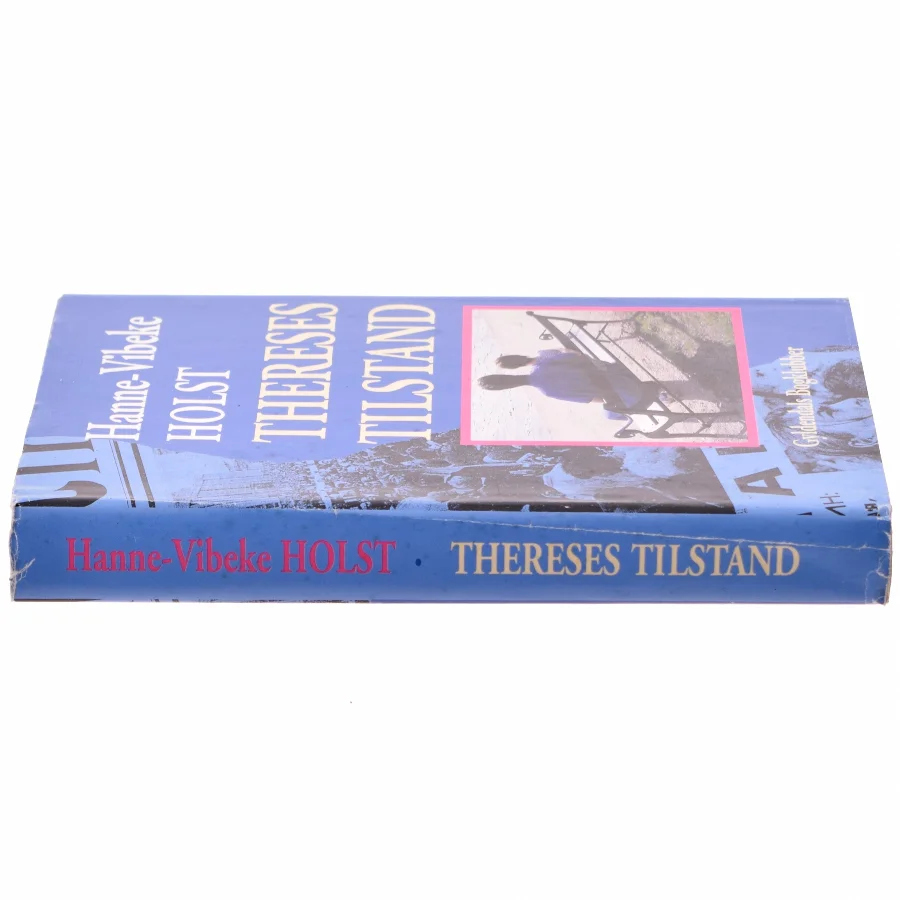 Thereses Tilstand af Hanne-Vibeke Holst (bog)