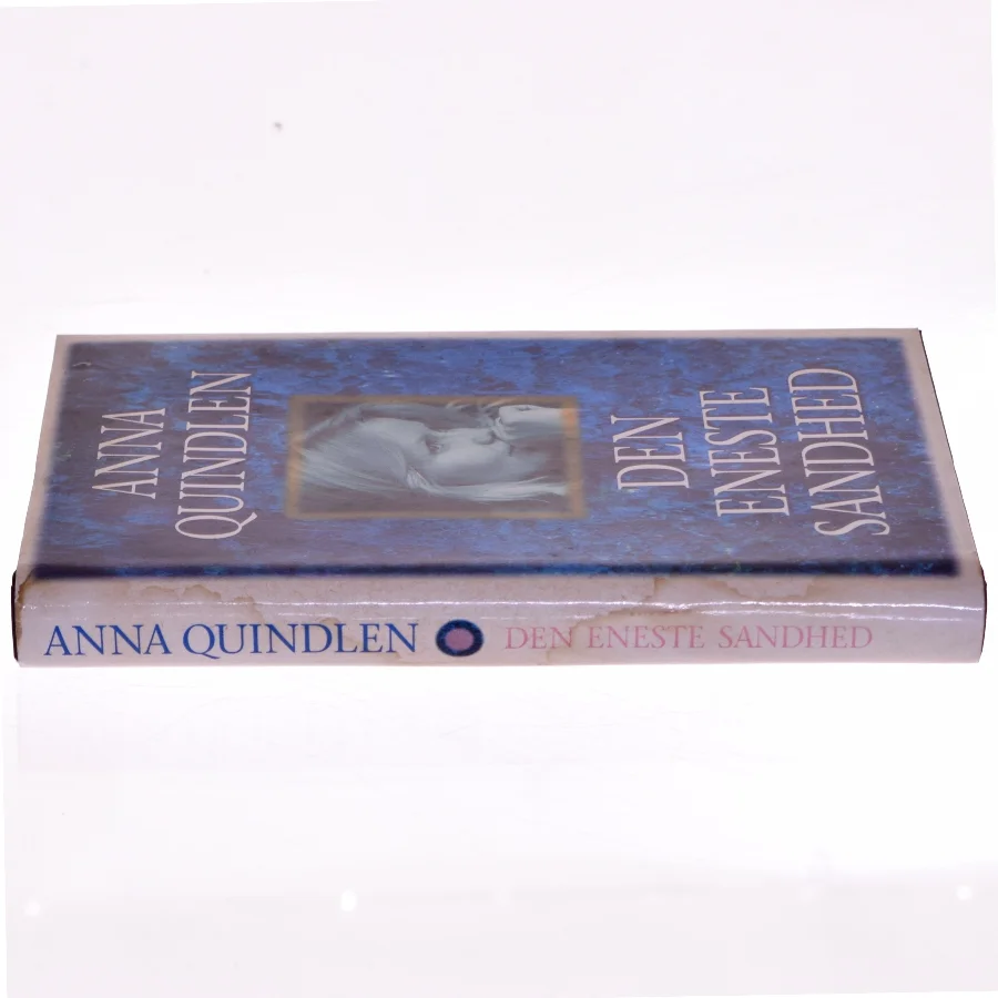 Anna Quindlen: Den Eneste Sandhed (Bog)