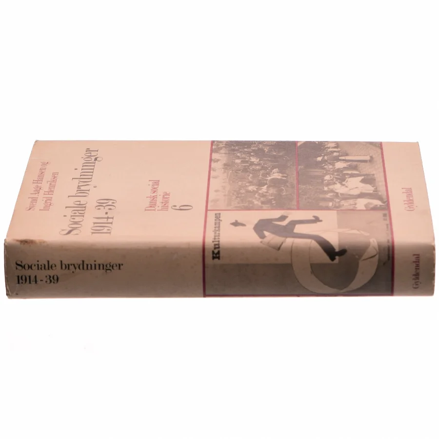 Danmarks social historie (bind 6) - Sociale brydninger (1914-39)
