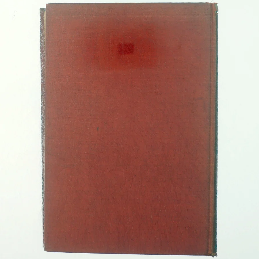 Valdemar Seir - af B.S Ingemann (bog)