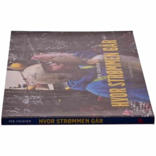 Hvor strømmen går (Bog)