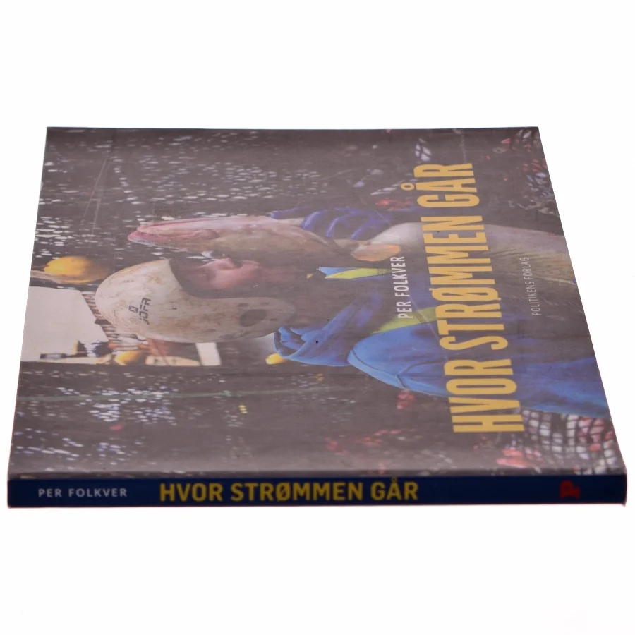 Hvor strømmen går (Bog)