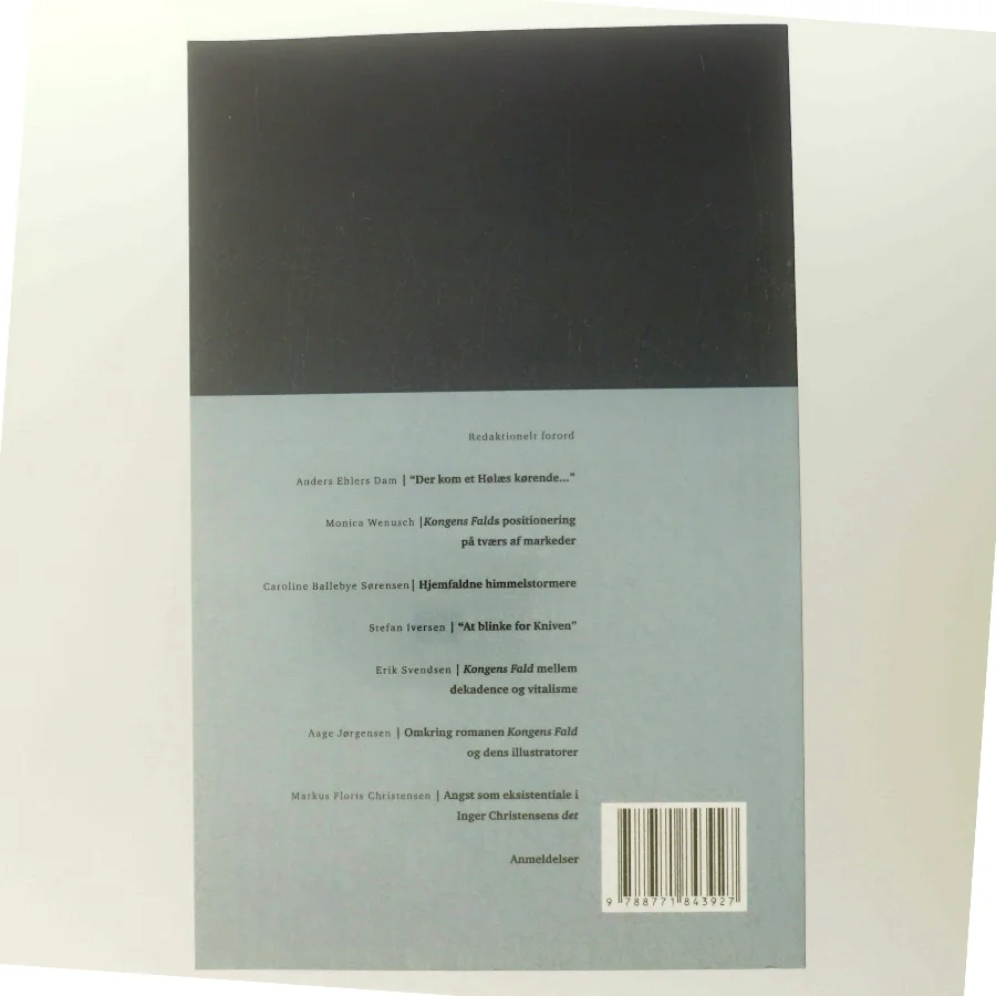 Kongens Fald af Anders Ehlers Dam, Stefan Iversen (Bog)