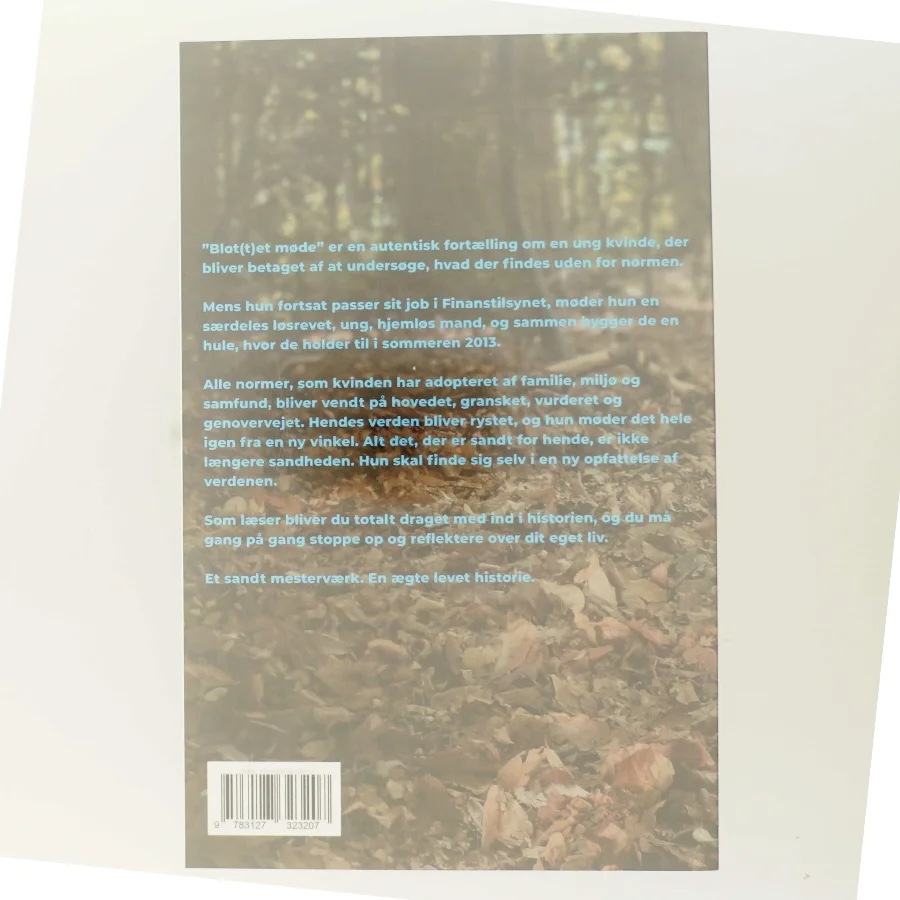 Blot(t)et møde af Therese de Wolff (Bog)