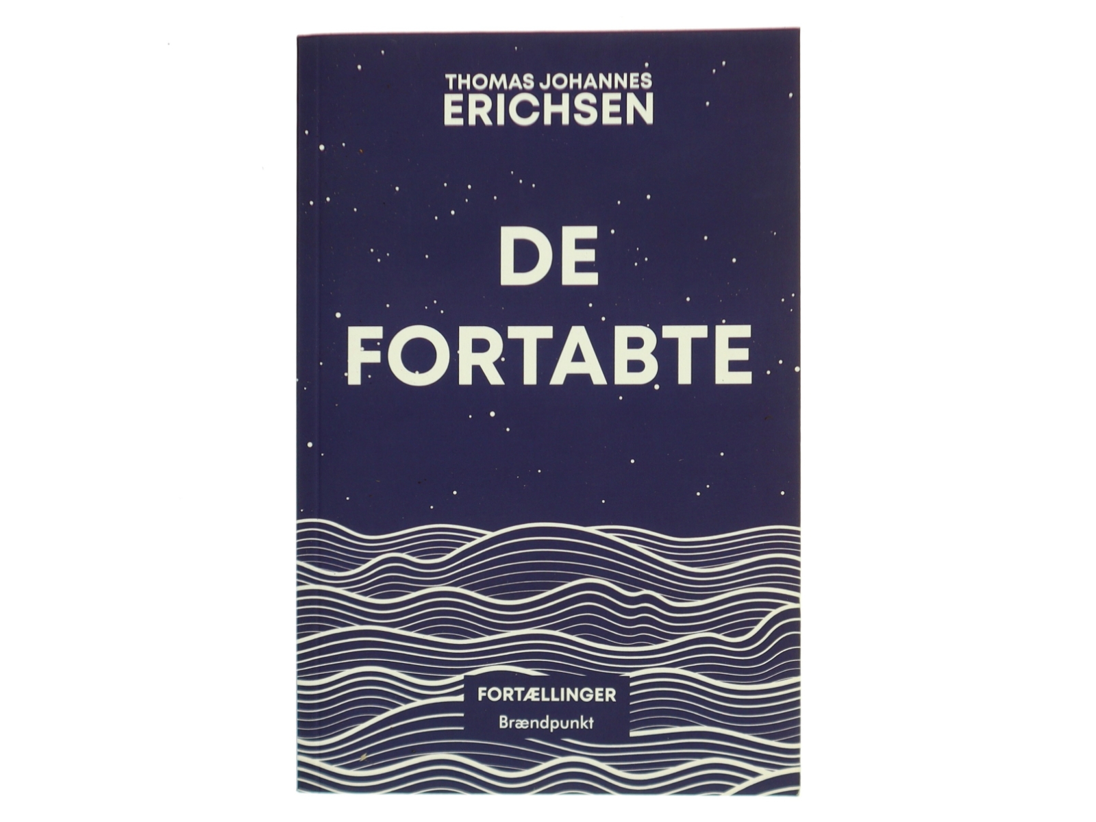 De fortabte : fortællinger af Thomas Johannes Erichsen (Bog)