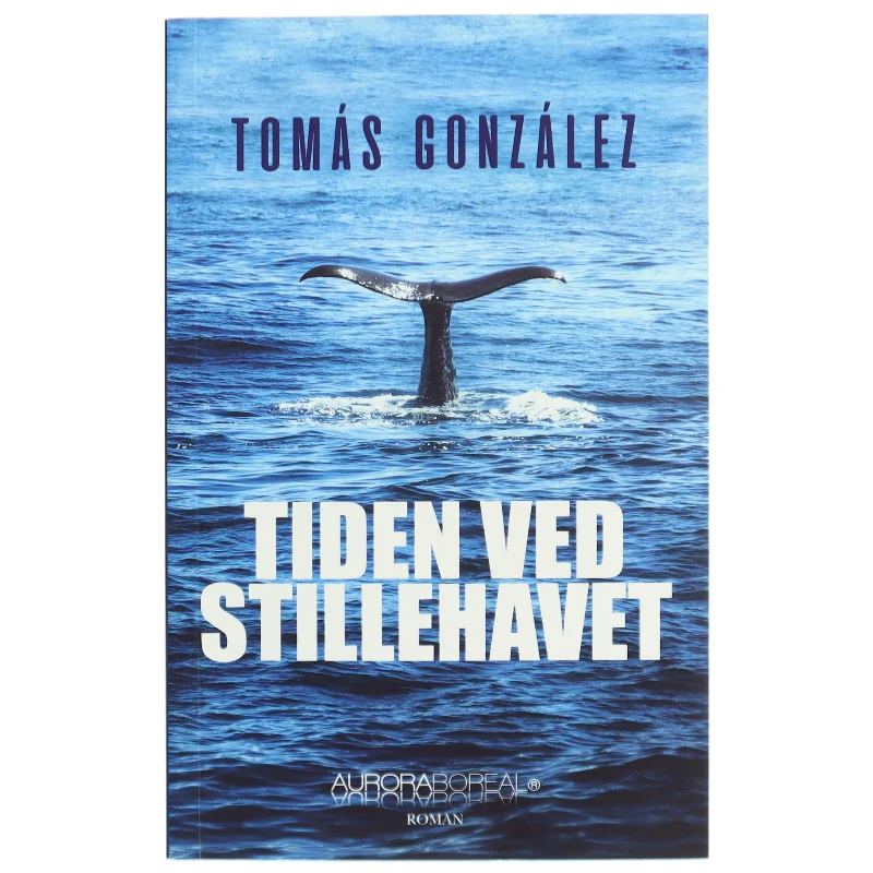 Tiden ved Stillehavet af Tomás González (f. 1950) (Bog)