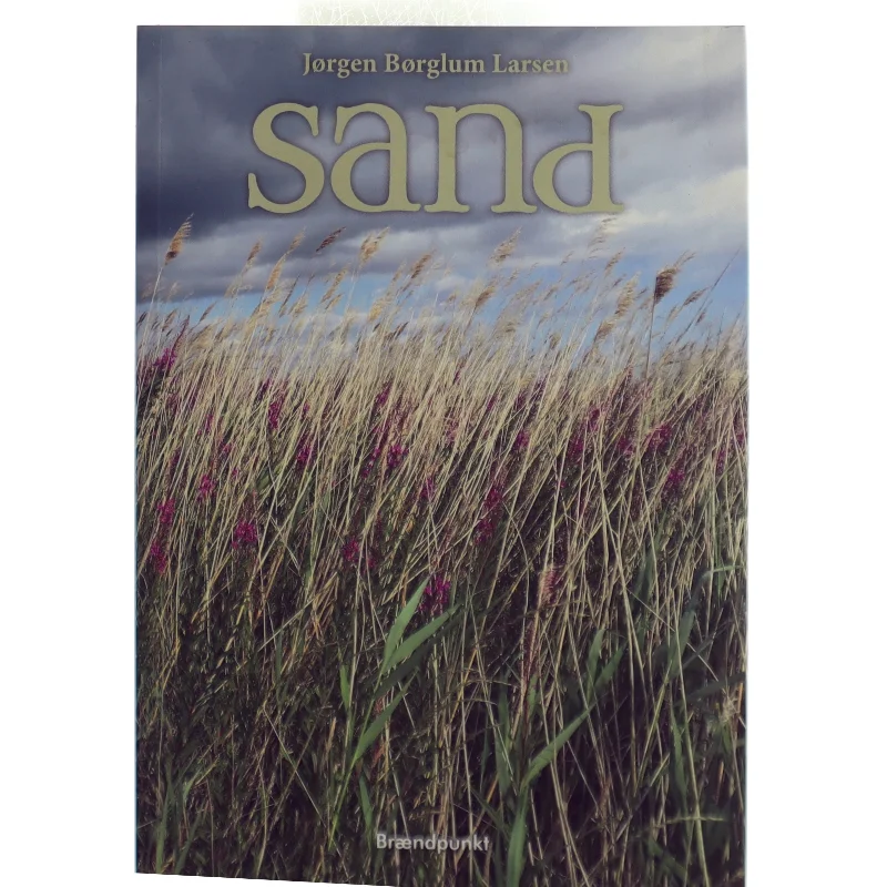 Sand : roman af Jørgen Børglum Larsen (Bog)