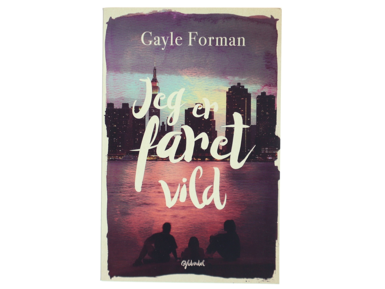 Jeg er faret vild af Gayle Forman (Bog)