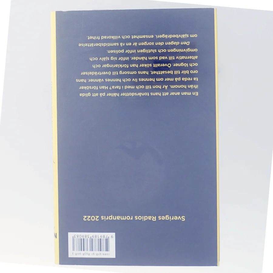 Den dagen den sorgen : roman af Jesper Larsson (f. 1970) (Bog)