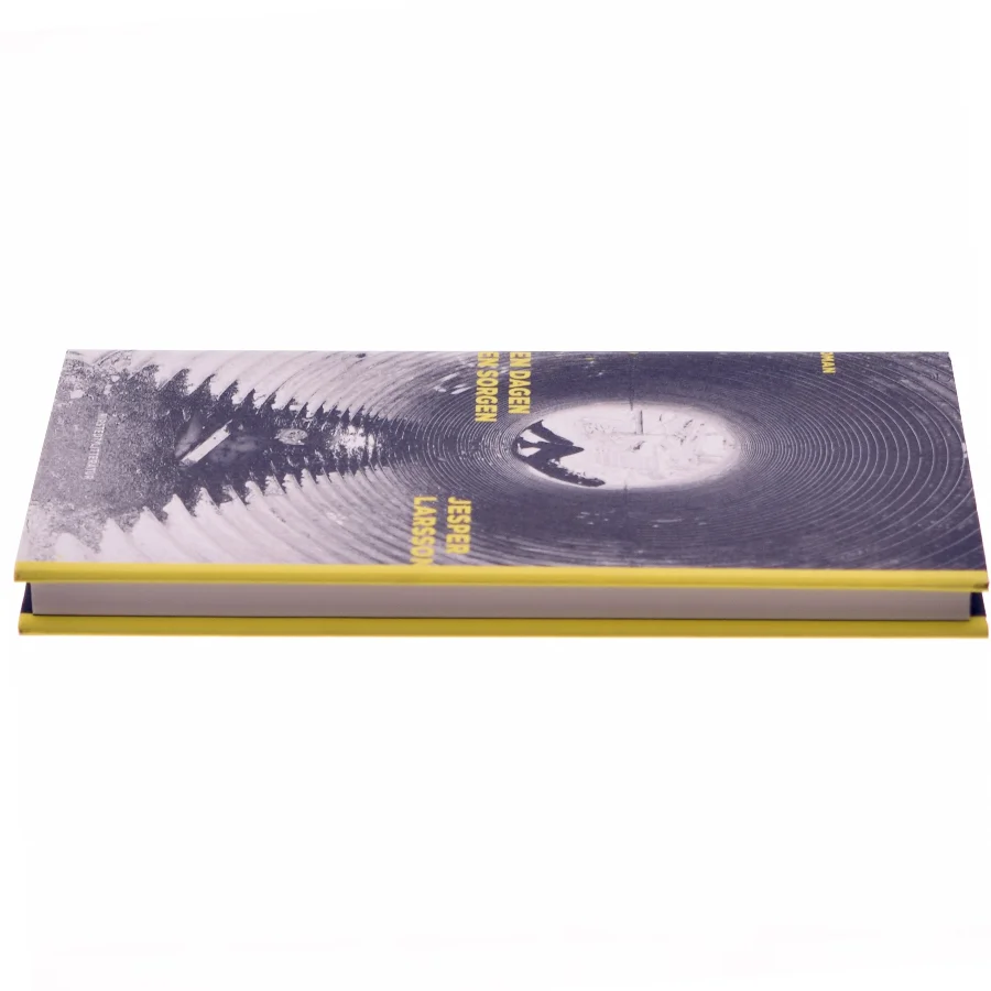 Den dagen den sorgen : roman af Jesper Larsson (f. 1970) (Bog)