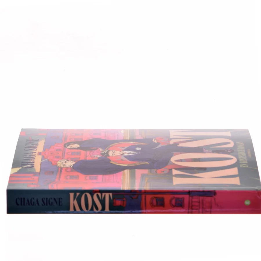 Kost : en kostskoleroman af Chaga Signe (f. 1975) (Bog)