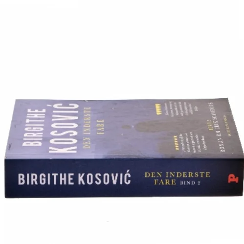 Den inderste fare af Birgithe Kosović (Bog)