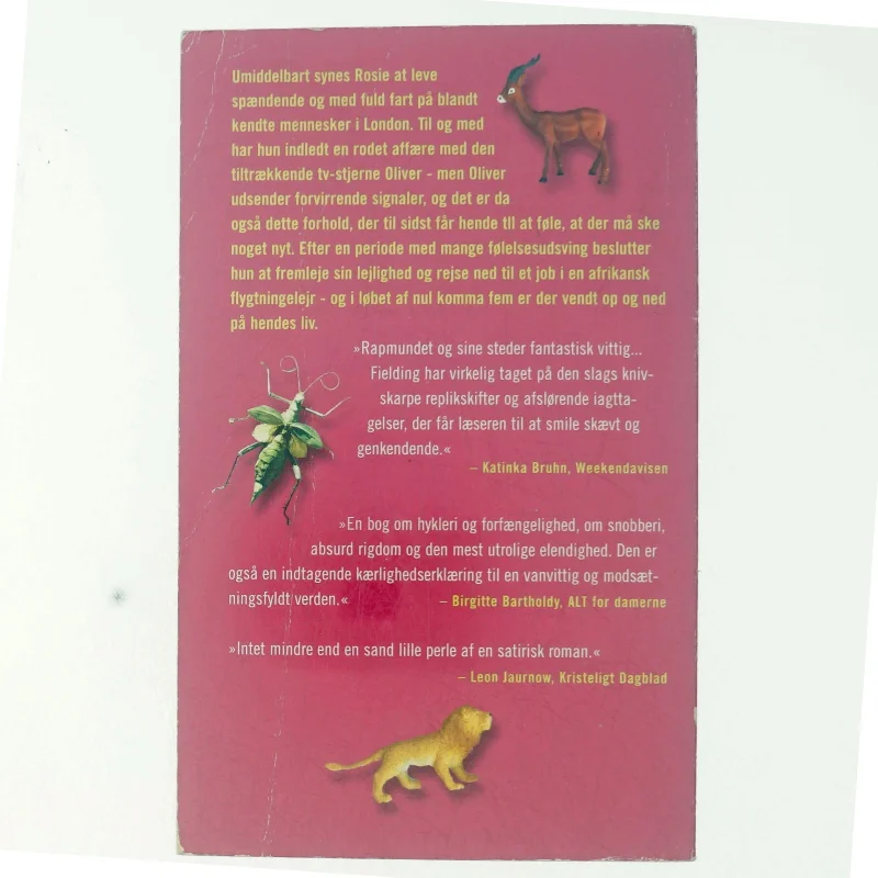 En stjernesag af Helen Fielding (Bog)