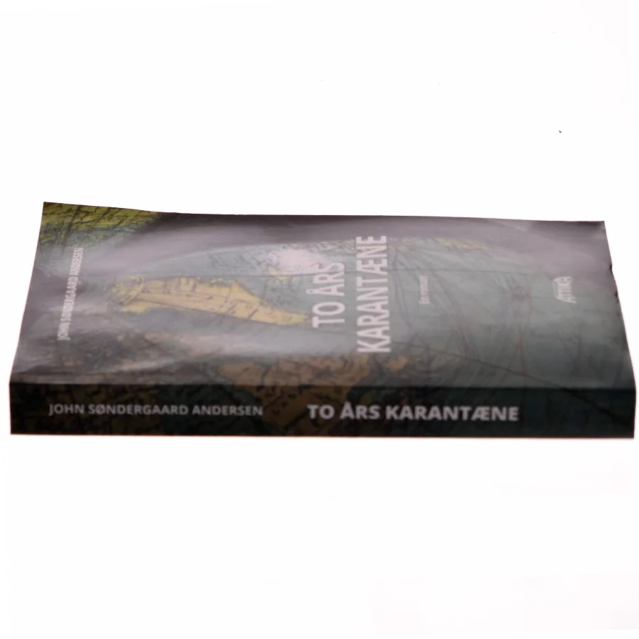 To års karantæne : en roman af John Søndergaard Andersen (f. 1958) (Bog)