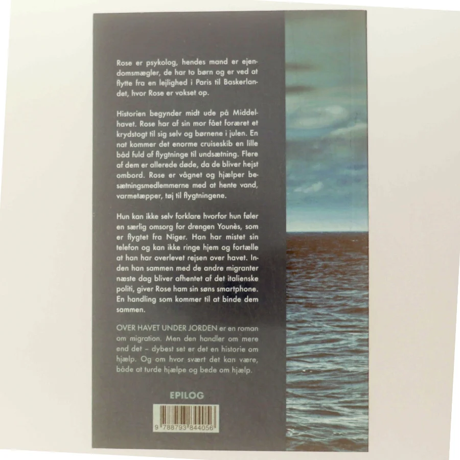 Over havet under jorden : roman af Marie Darrieussecq (Bog)