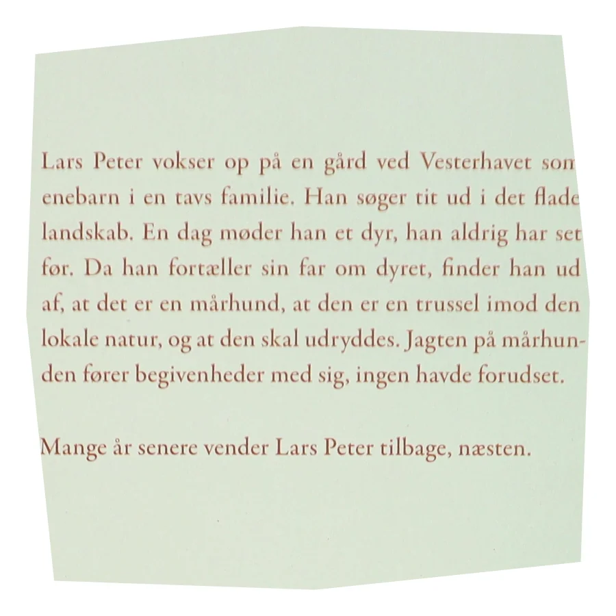 Mårhund : roman af Johannes Lilleøre (Bog)