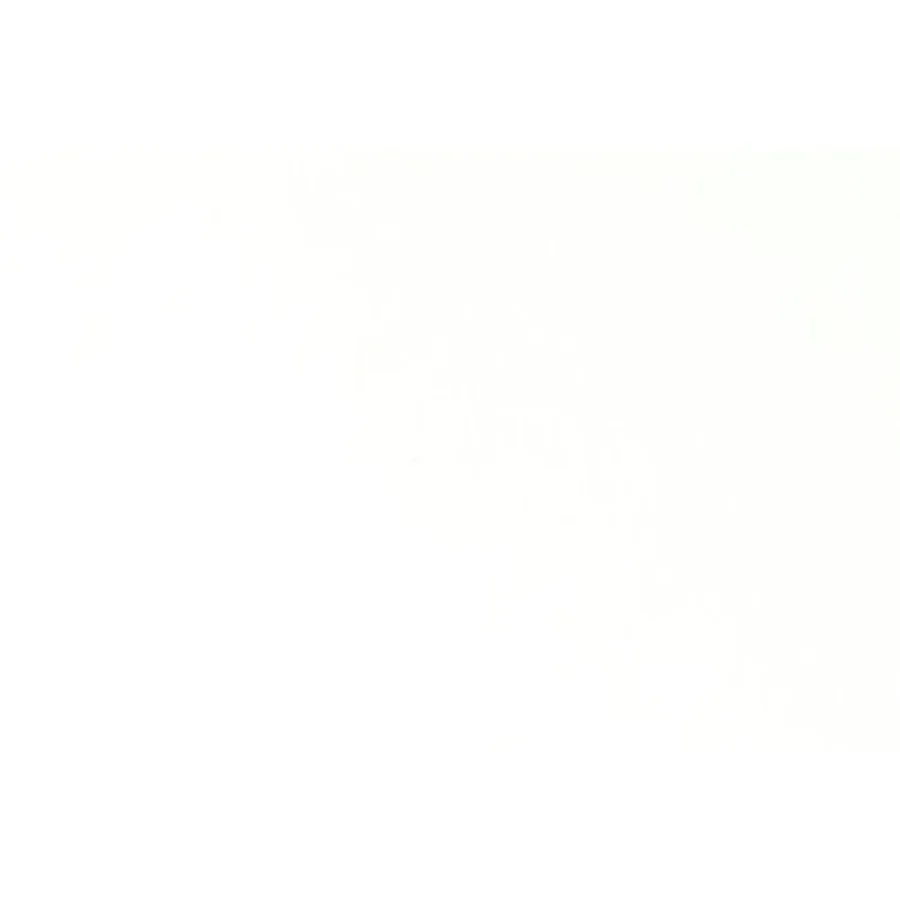 ROmaner Noveller Skuespil af Gustav Wied (Bog)