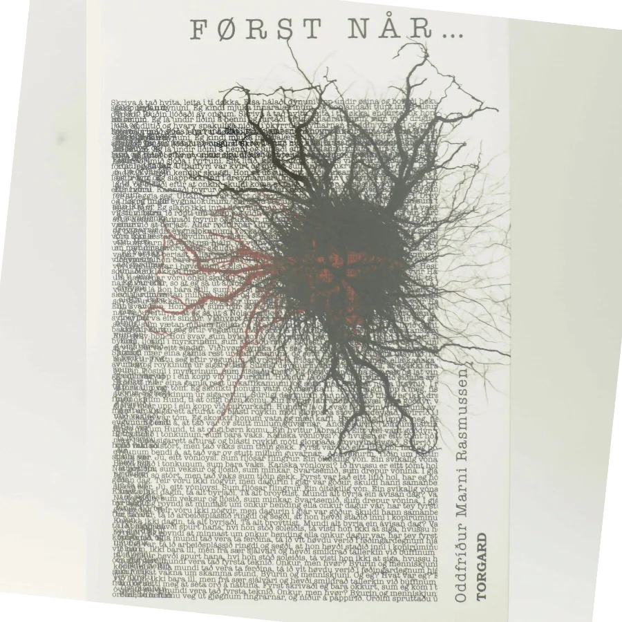 Først når - : roman af Oddfríður Marni Rasmussen (Bog)