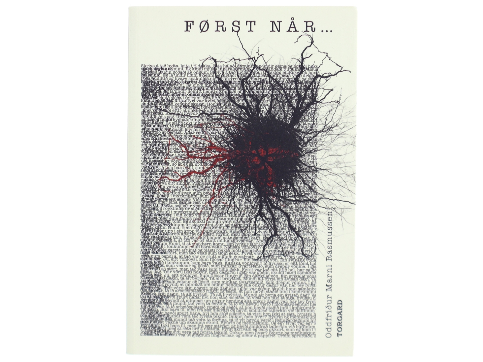 Først når - : roman af Oddfríður Marni Rasmussen (Bog)
