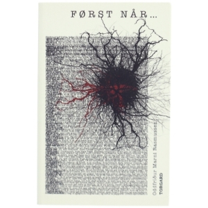 Først når - : roman af Oddfríður Marni Rasmussen (Bog)