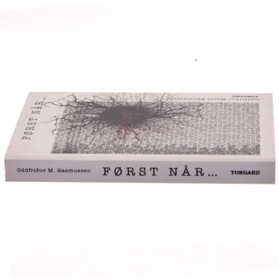 Først når - : roman af Oddfríður Marni Rasmussen (Bog)