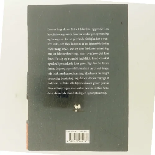 Skaden : historien om en hjerneblødning af Brita Lønstrup (Bog)