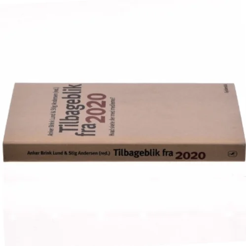 Tilbageblik fra 2020 : hvad skete der med medierne? (Bog)