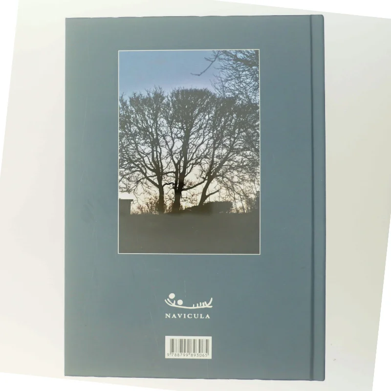 Havet - hvorhen sejler vi? : illustreret med sindbilleder og evighedsbilleder af Leif Sestoft (Bog)