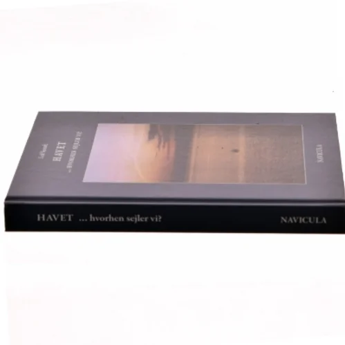 Havet - hvorhen sejler vi? : illustreret med sindbilleder og evighedsbilleder af Leif Sestoft (Bog)