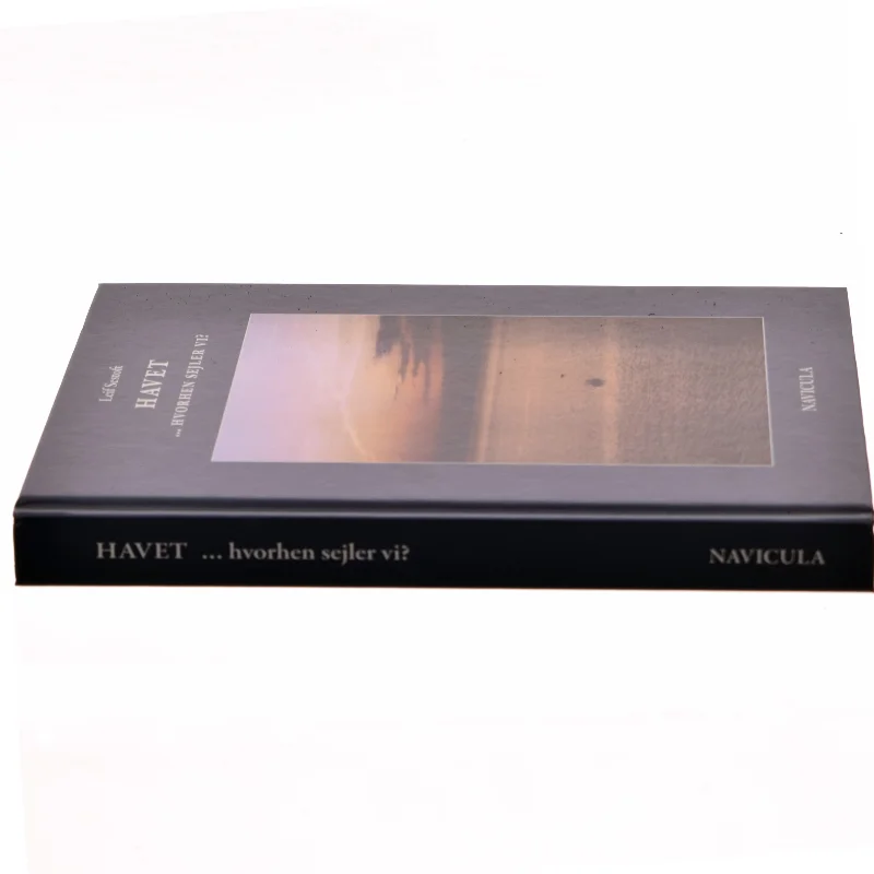 Havet - hvorhen sejler vi? : illustreret med sindbilleder og evighedsbilleder af Leif Sestoft (Bog)