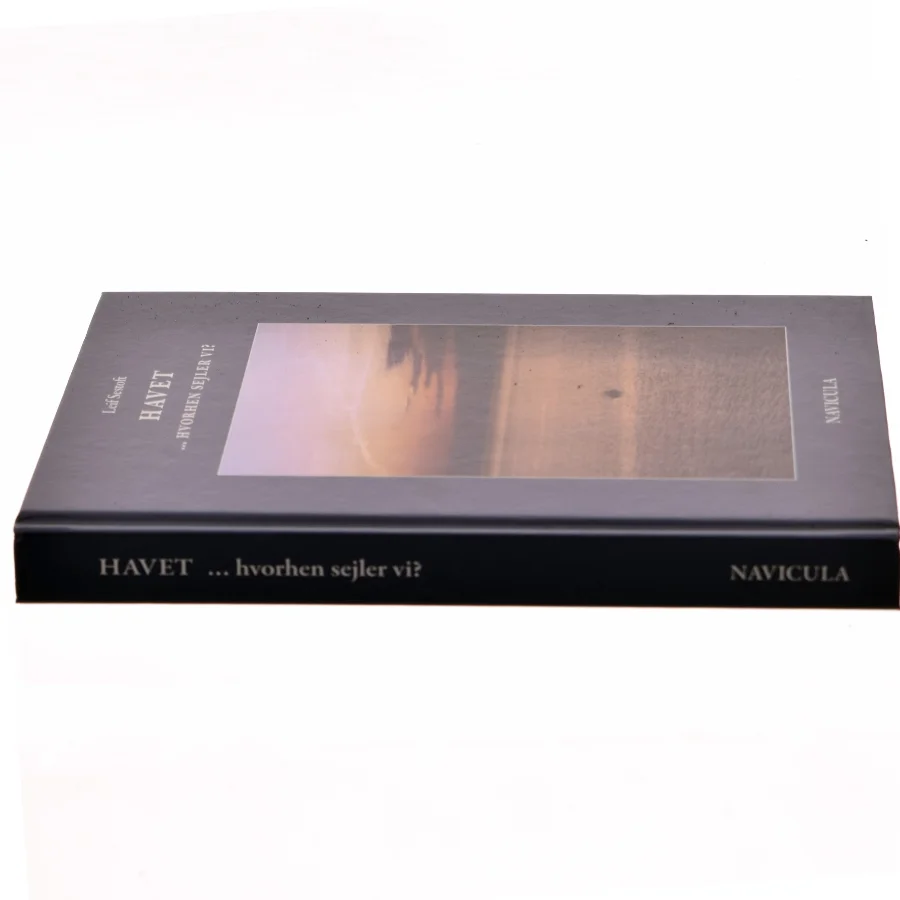 Havet - hvorhen sejler vi? : illustreret med sindbilleder og evighedsbilleder af Leif Sestoft (Bog)