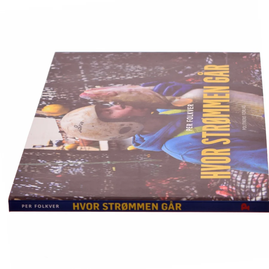 Hvor strømmen går (Bog)